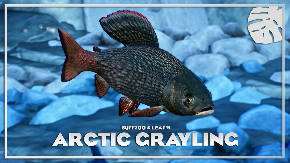 Planet Zoo — Arctic grayling - new species