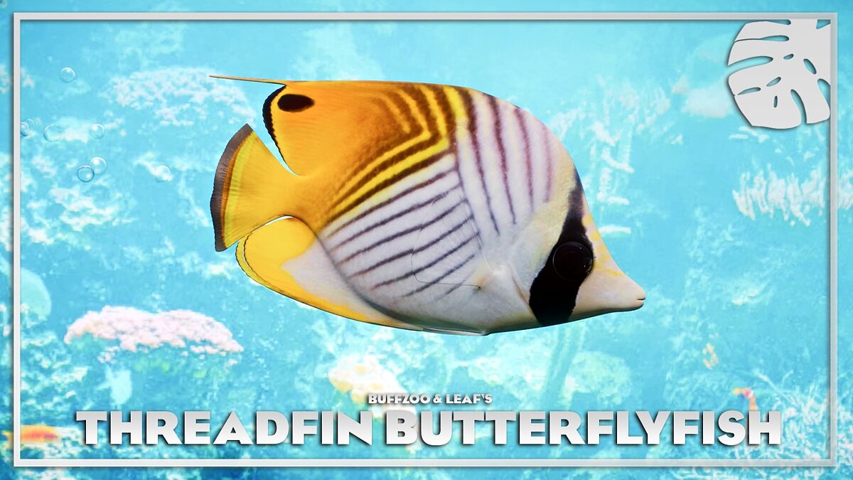 Planet Zoo — Butterflyfish - new species