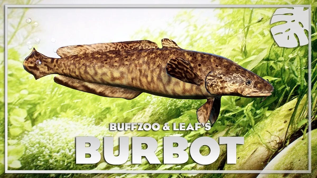 Planet Zoo — Burbot - a new species