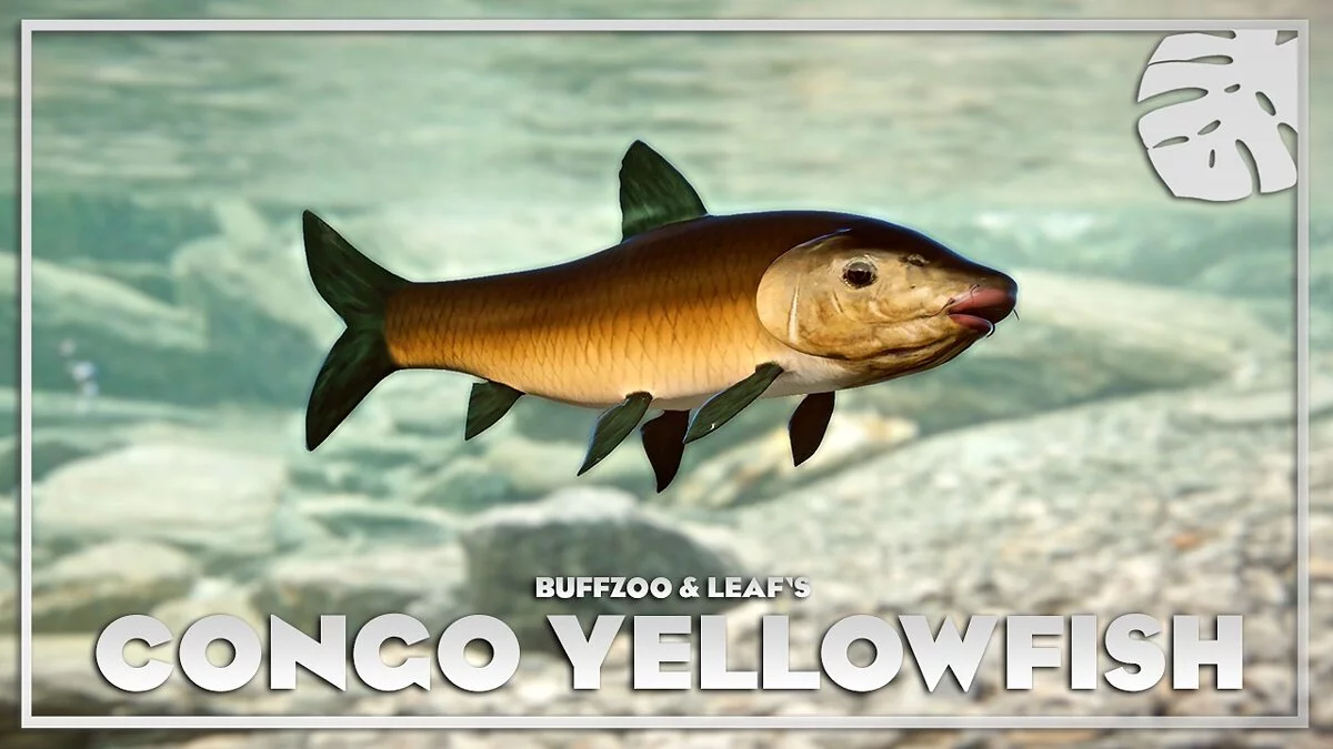 Planet Zoo — Congo yellow fish - new species