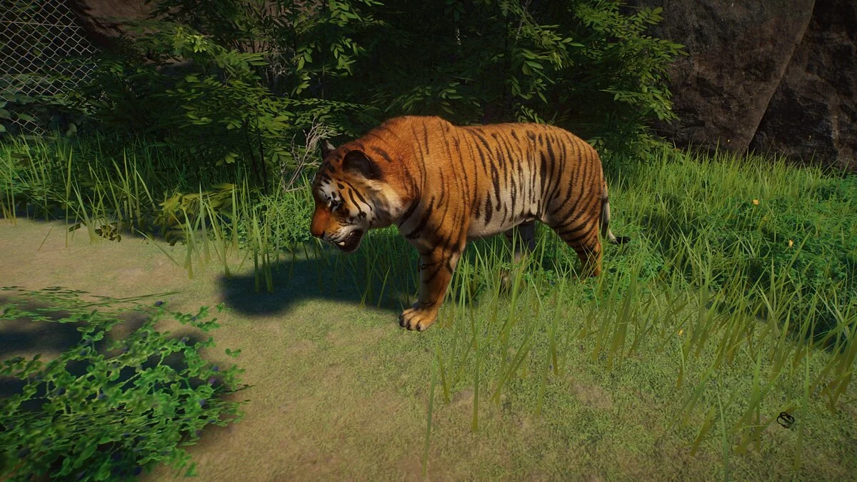 Planet Zoo — Bengal Tiger - Remastered