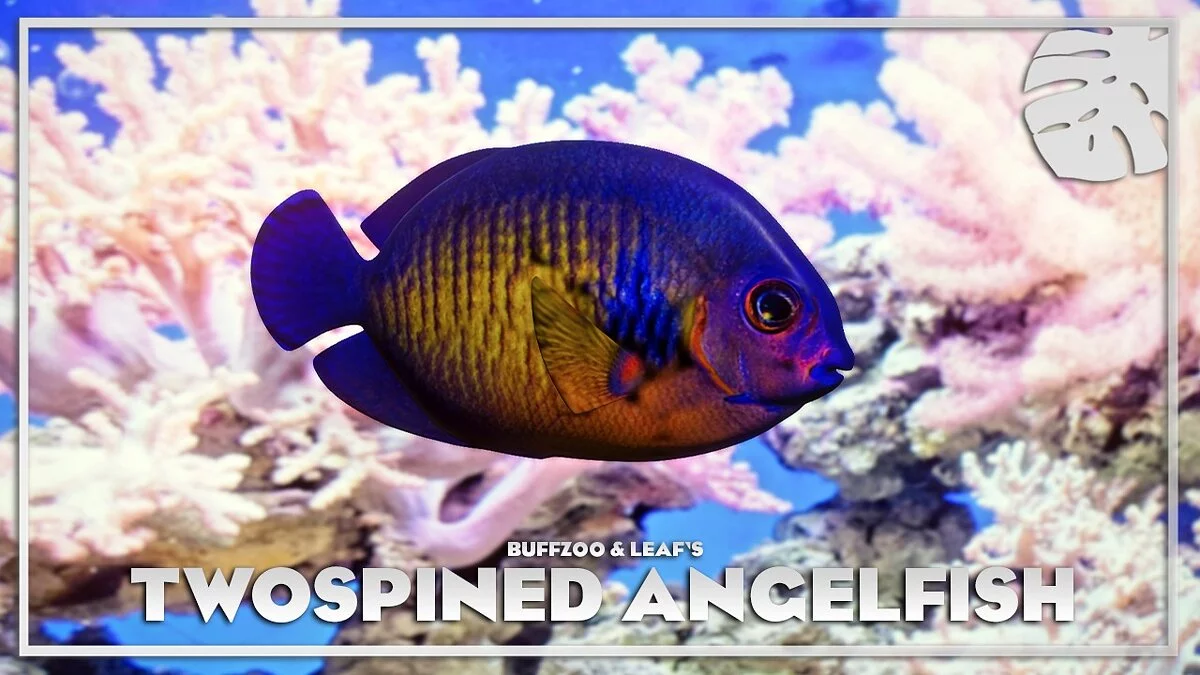 Planet Zoo — Three-spined angelfish - new species