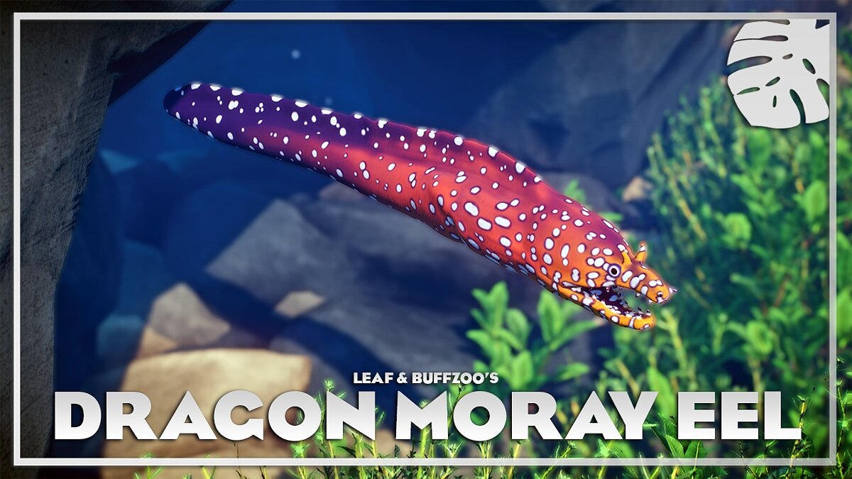 Planet Zoo — Dragon moray - new species