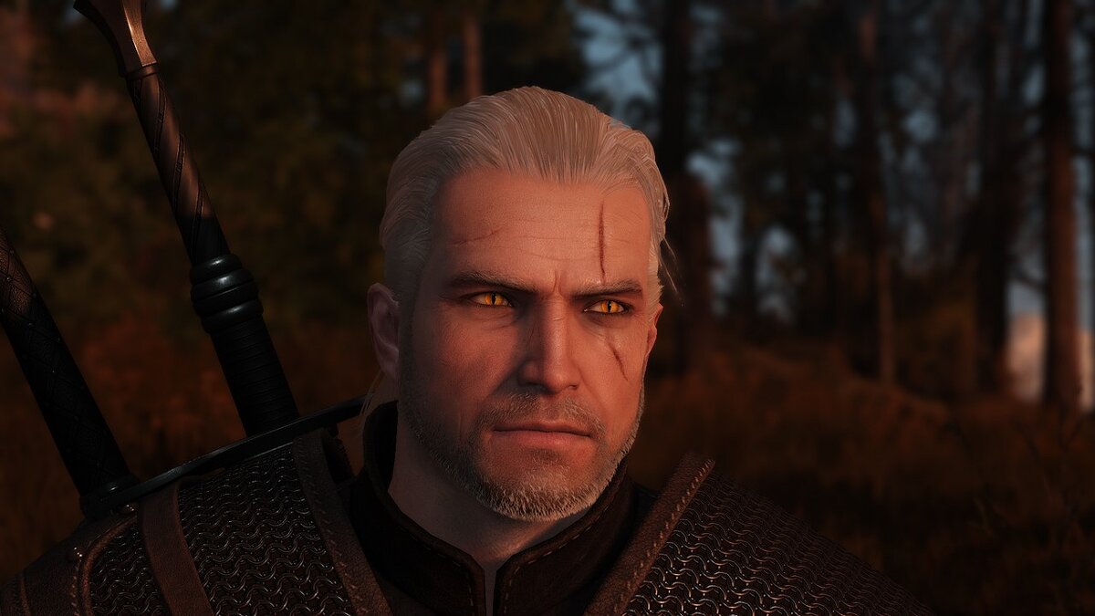 The Witcher 3: Wild Hunt - Complete Edition — Realistic face of Geralt