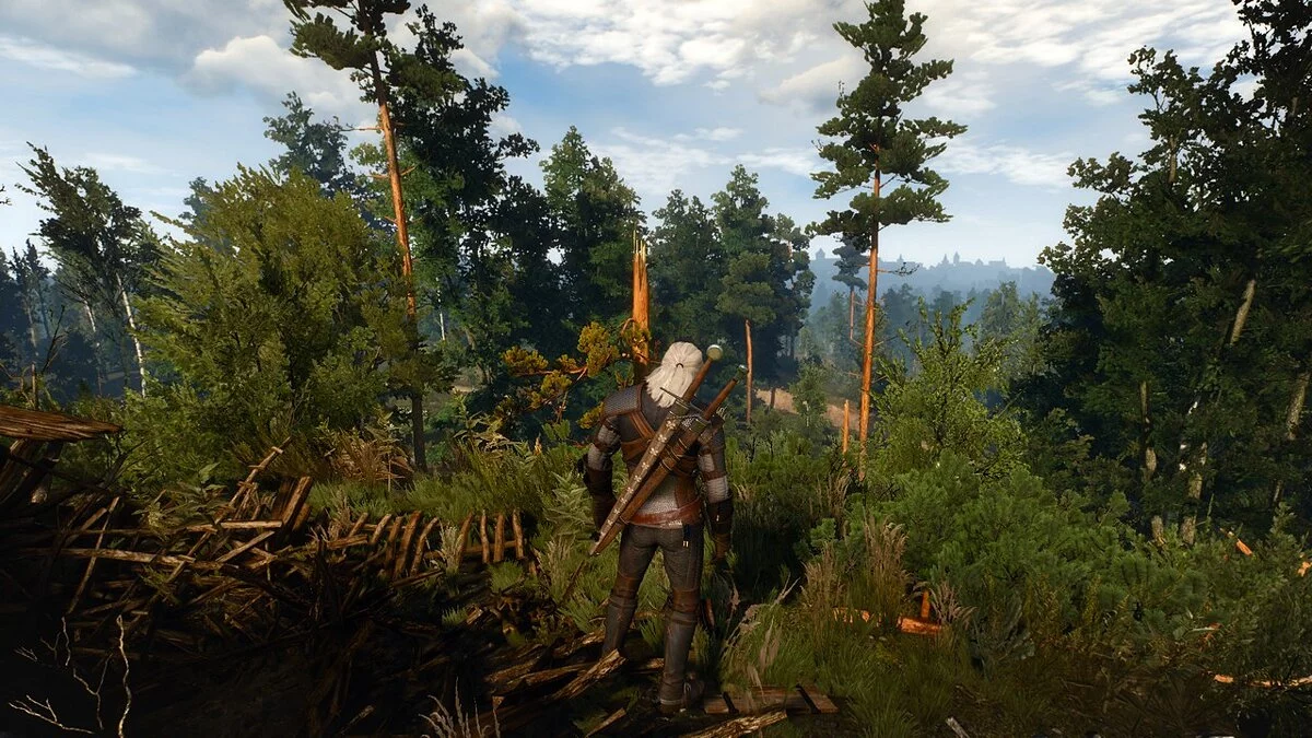 The Witcher 3: Wild Hunt - Complete Edition — Меньше желтого, больше естественности