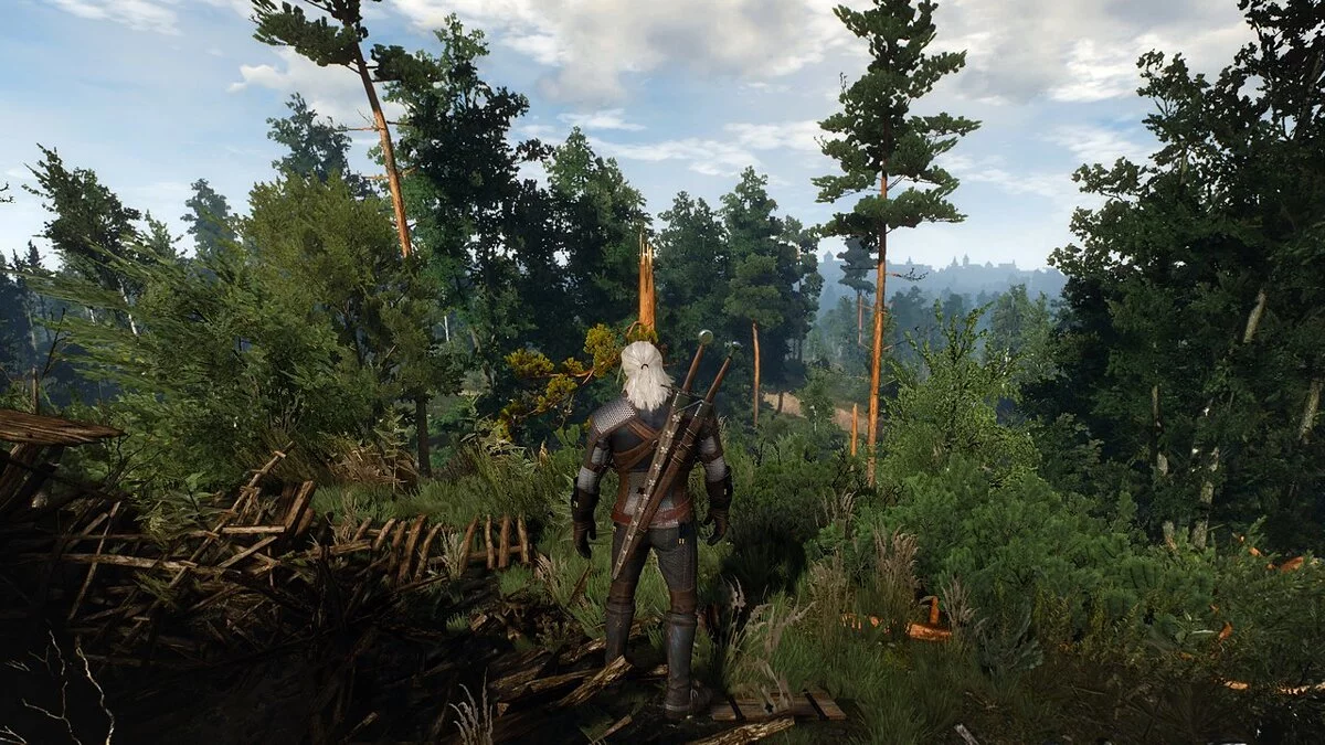 The Witcher 3: Wild Hunt - Complete Edition — Меньше желтого, больше естественности