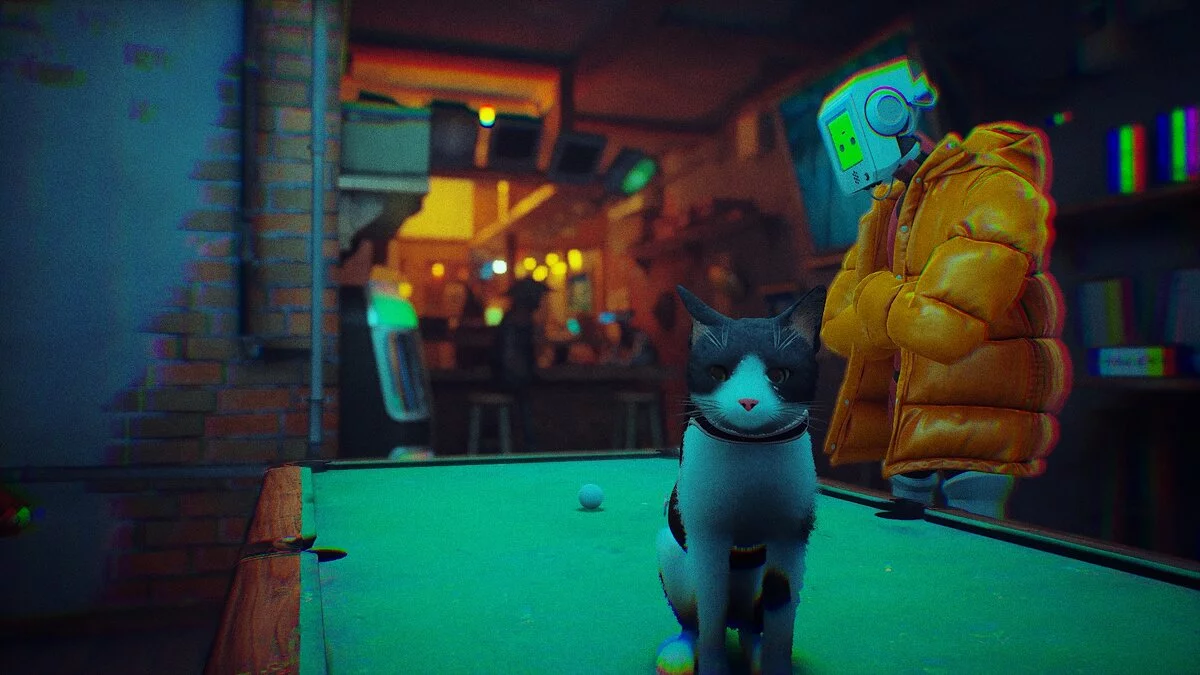 Stray — Валі - шкіра гравця