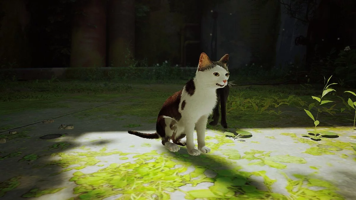 Stray — Поллукс — скин гравця