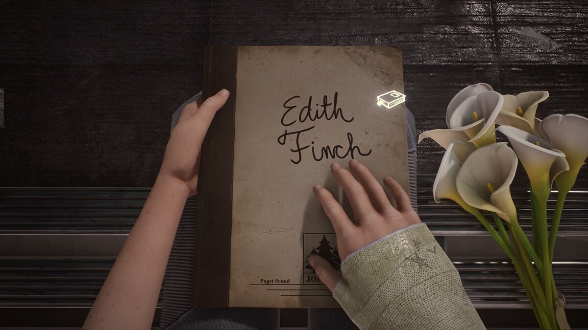 What Remains of Edith Finch — Saving [Epic License]