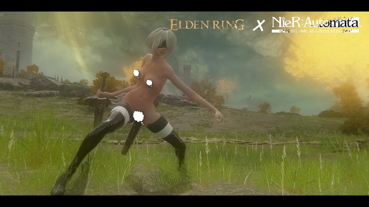 Elden Ring — Naked 2B from the game Nier Automata