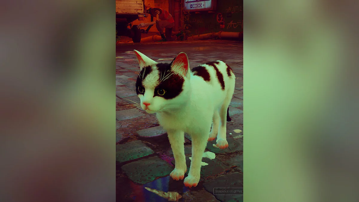 Stray — Молодий Райлі