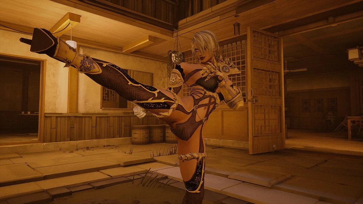 Sifu — SoulCalibur 6 - Айви