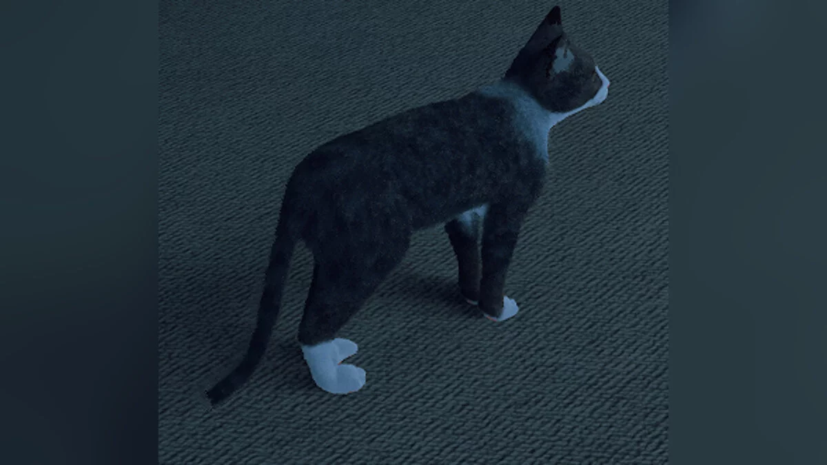 Stray — Кірей - образ гравця