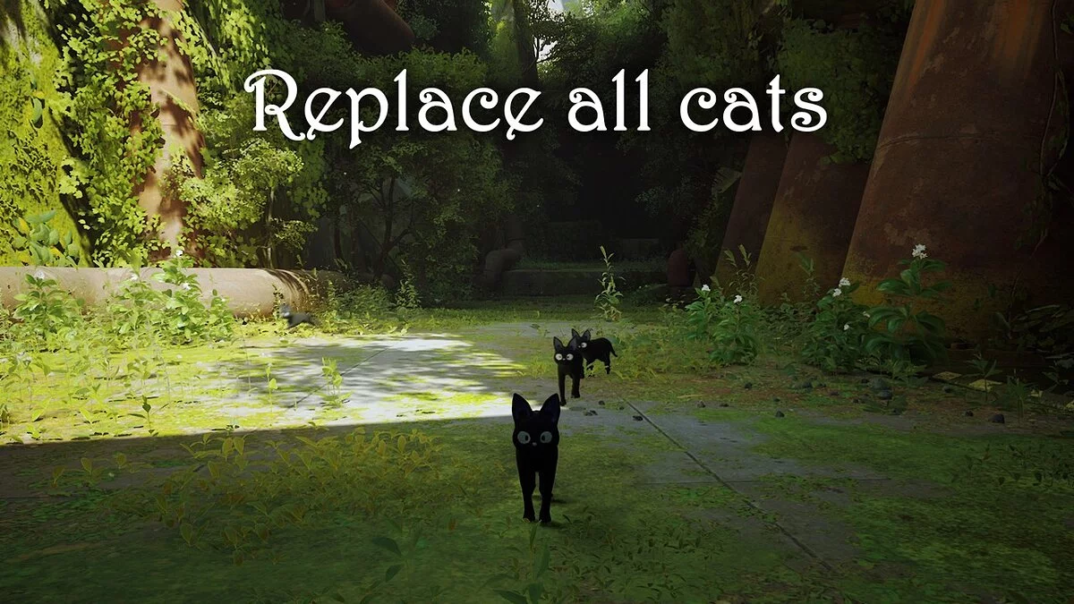 Stray — Дзидзи з аніме «Відьмака служба доставки»