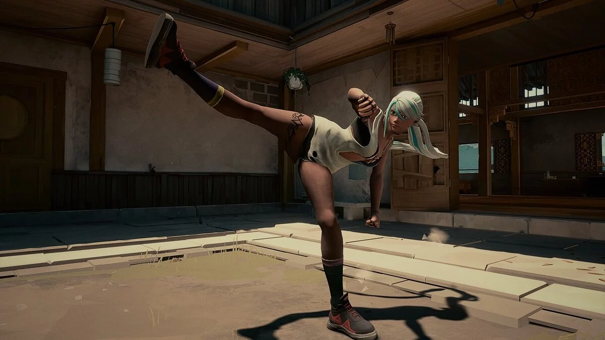 Sifu — Исла из игры The King of Fighters 15