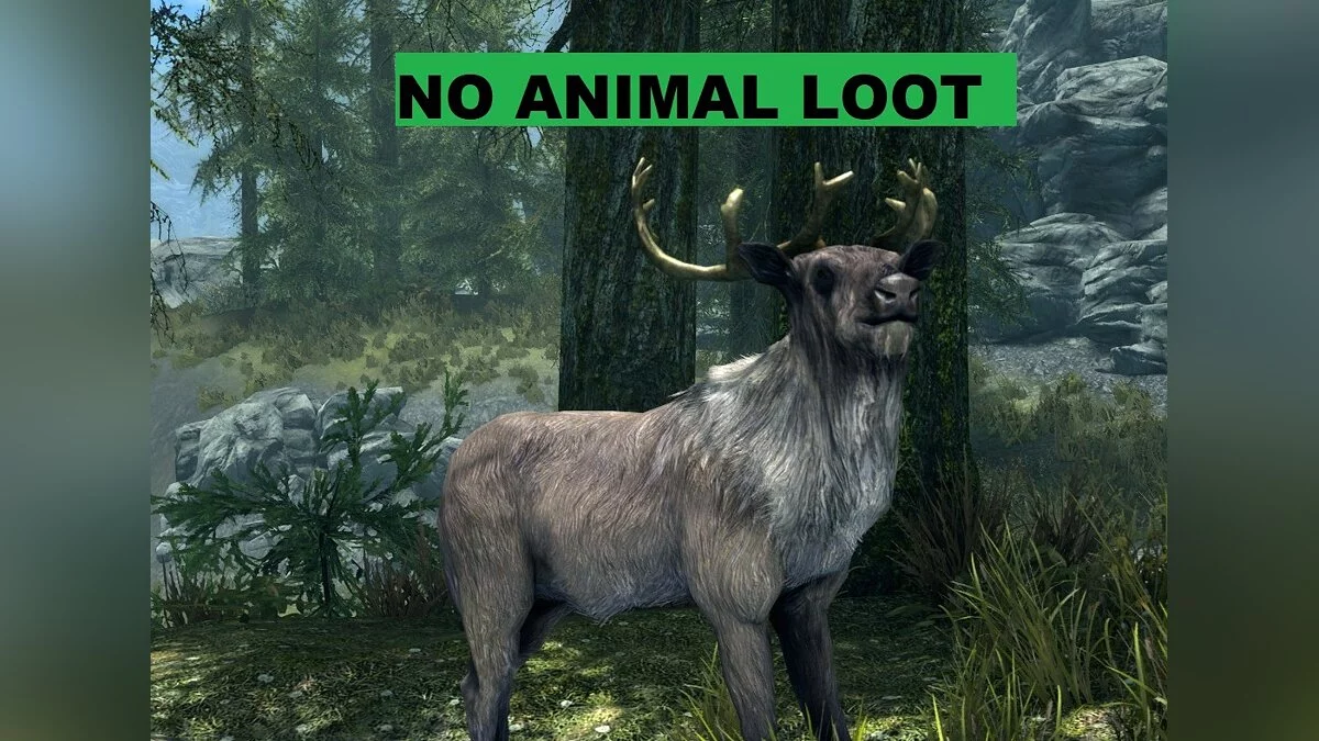 Elder Scrolls 5: Skyrim Special Edition — No animal loot