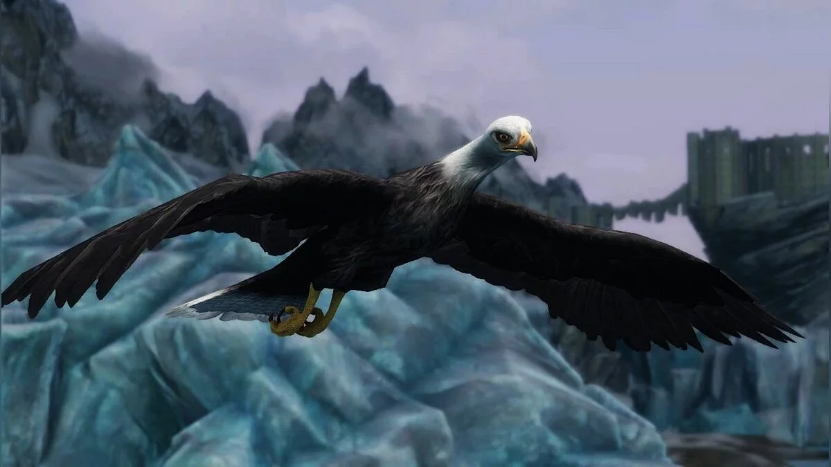 The Elder Scrolls 5: Skyrim Legendary Edition — Высокополигональный ястреб