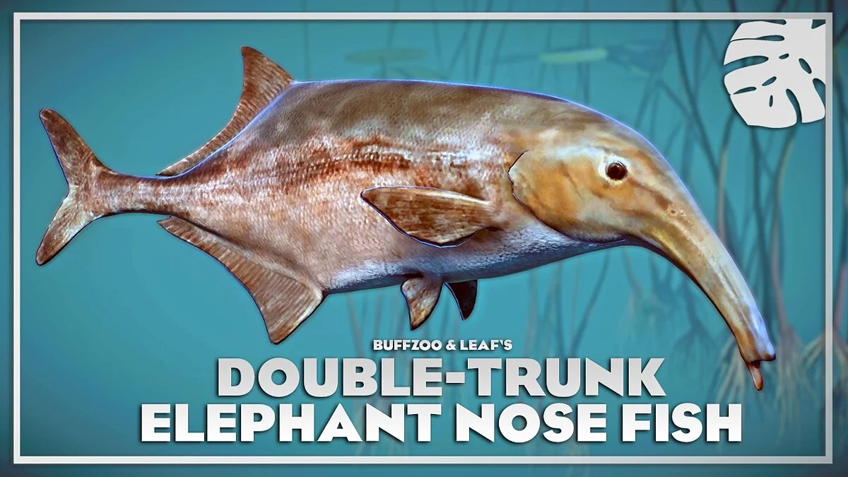 Planet Zoo — Double trunk elephant fish - new species