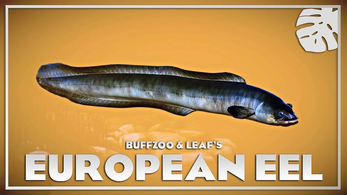 Planet Zoo — European eel - new species