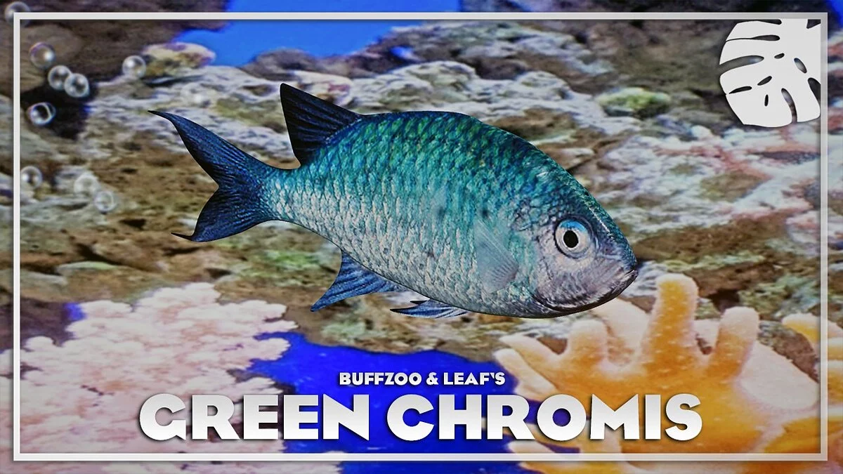 Planet Zoo — Green chromis - new species