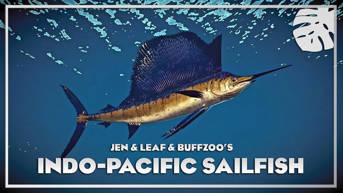 Planet Zoo — Індійсько-тихоокеанський парусник — нові види