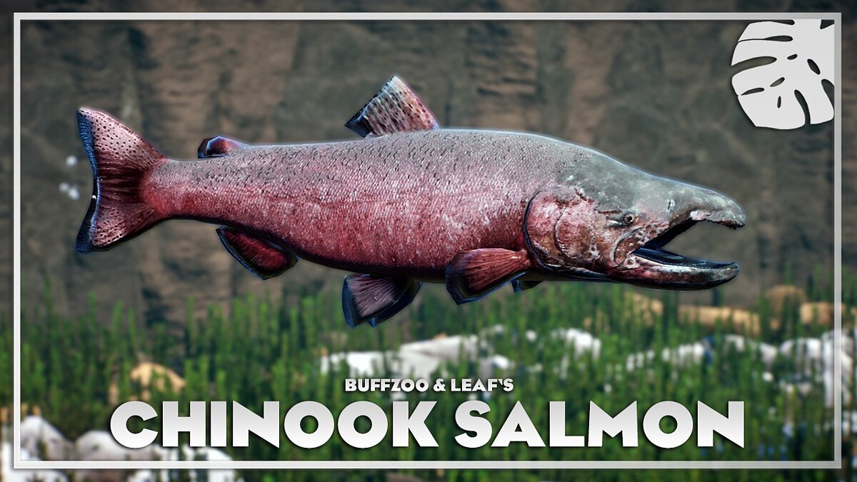 Planet Zoo — Chinook salmon - new species