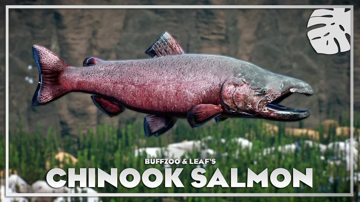 Planet Zoo — Salmón Chinook - nueva especie