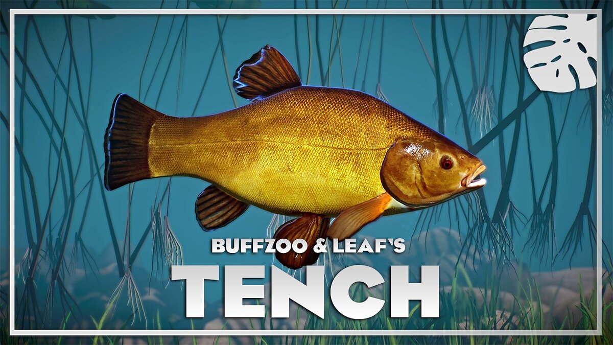 Planet Zoo — Tench - new species