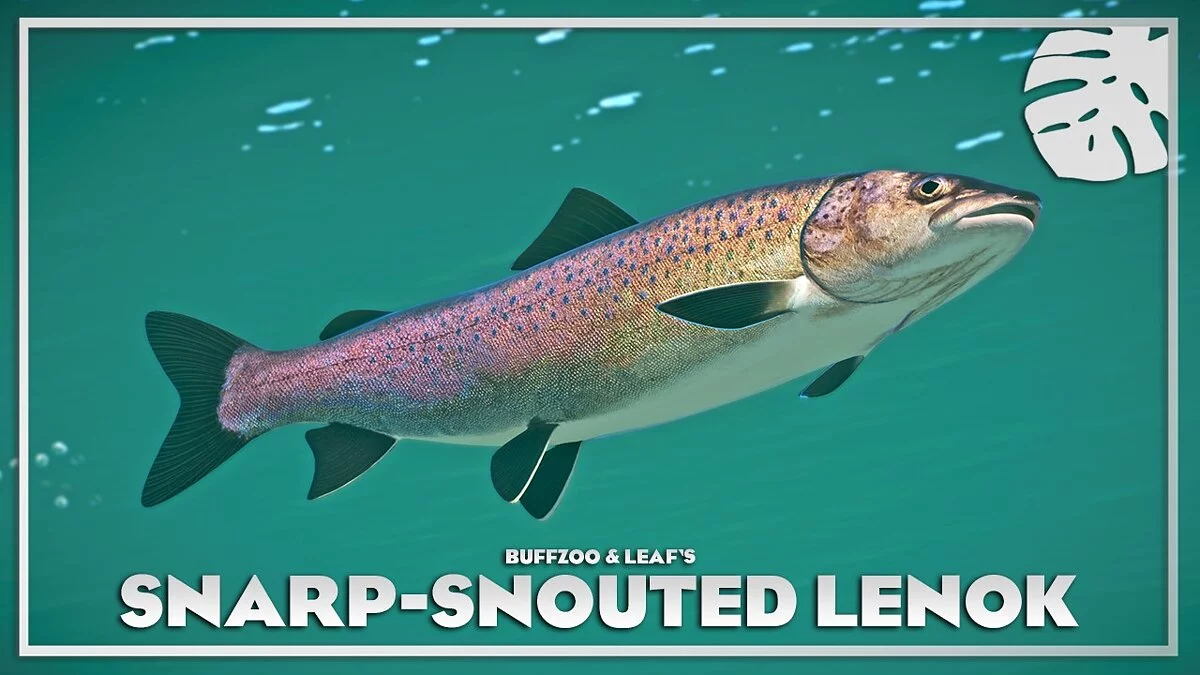 Planet Zoo — Sharp-snouted lenok - a new species