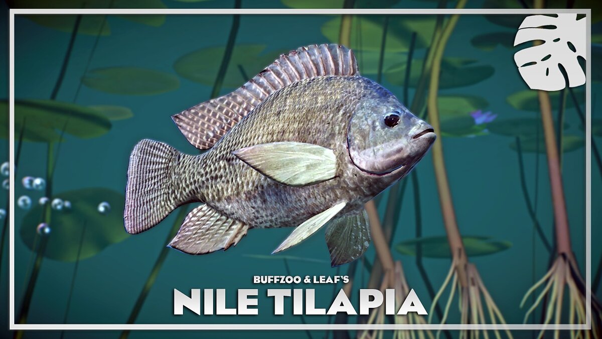 Planet Zoo — Nile tilapia - new species