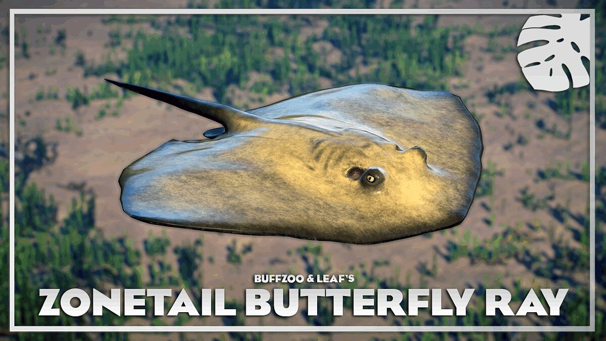 Planet Zoo — Butterfly ray - new species