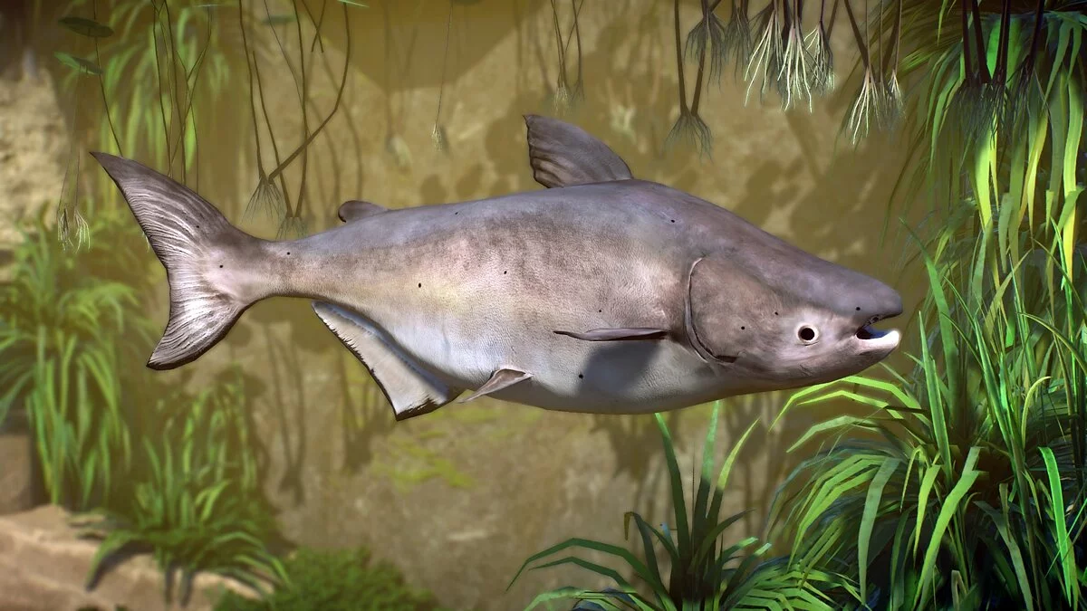 Planet Zoo — Гигантский сом Меконга - новые виды 