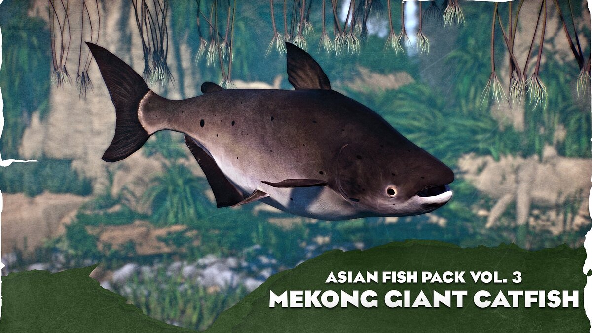 Planet Zoo — Mekong giant catfish - new species