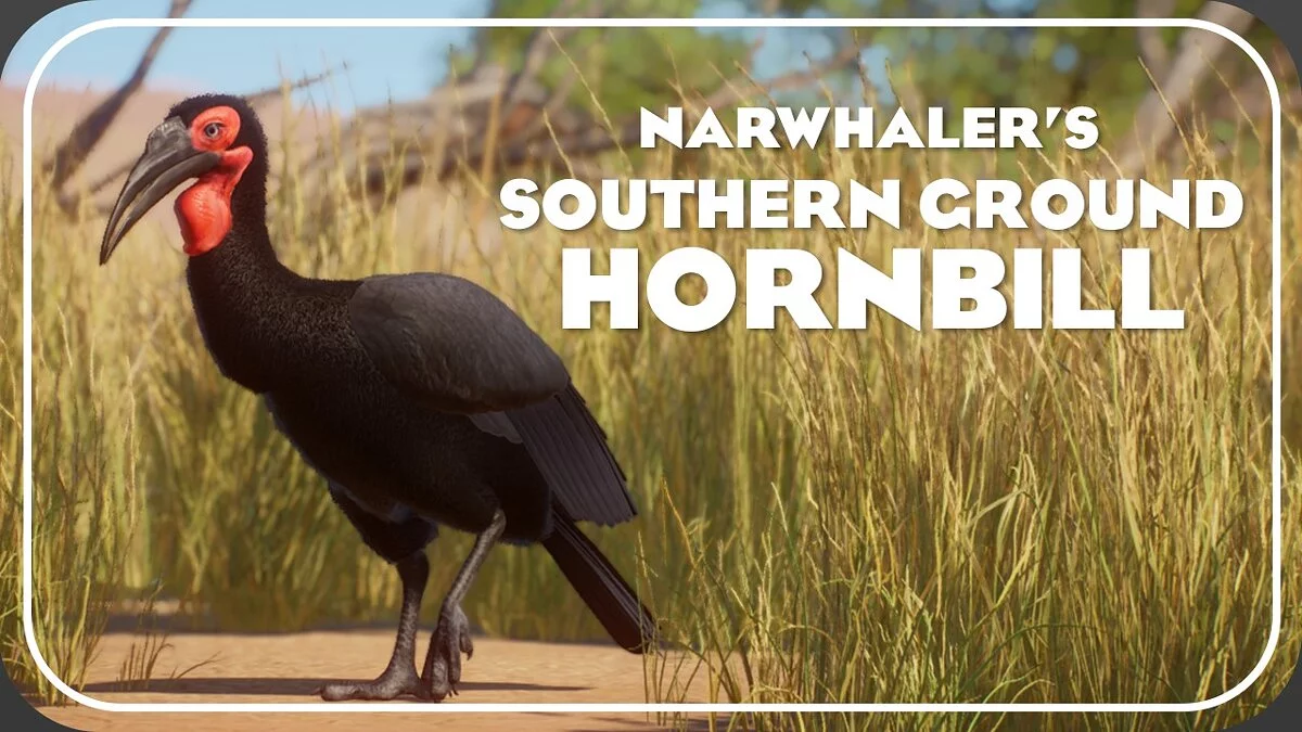 Planet Zoo — Southern Ground Hornbill - New Species