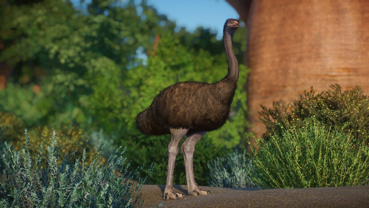 Planet Zoo — Elephant bird - new species