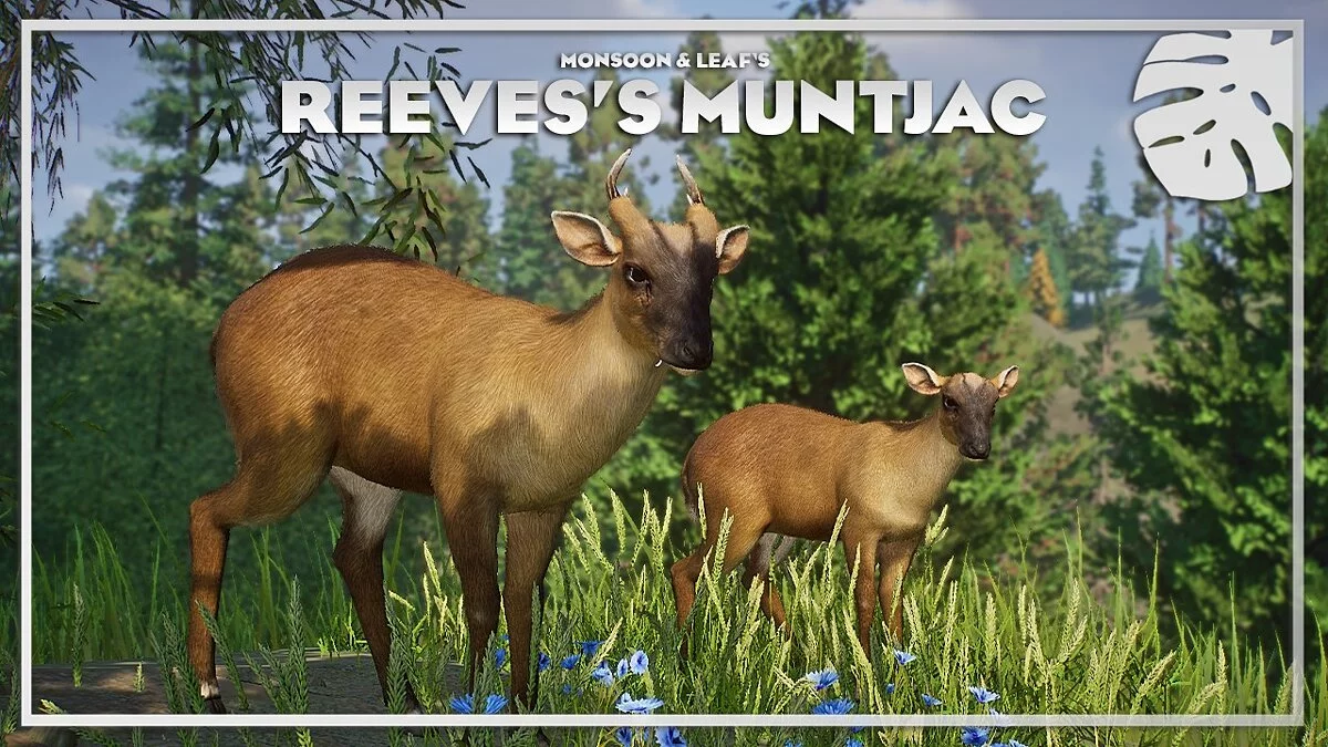 Planet Zoo — Reeves' Muntjac - new species