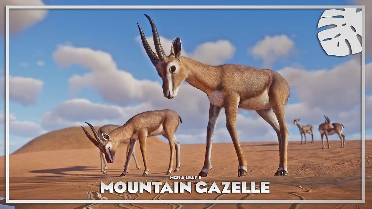 Planet Zoo — Mountain gazelle - new species