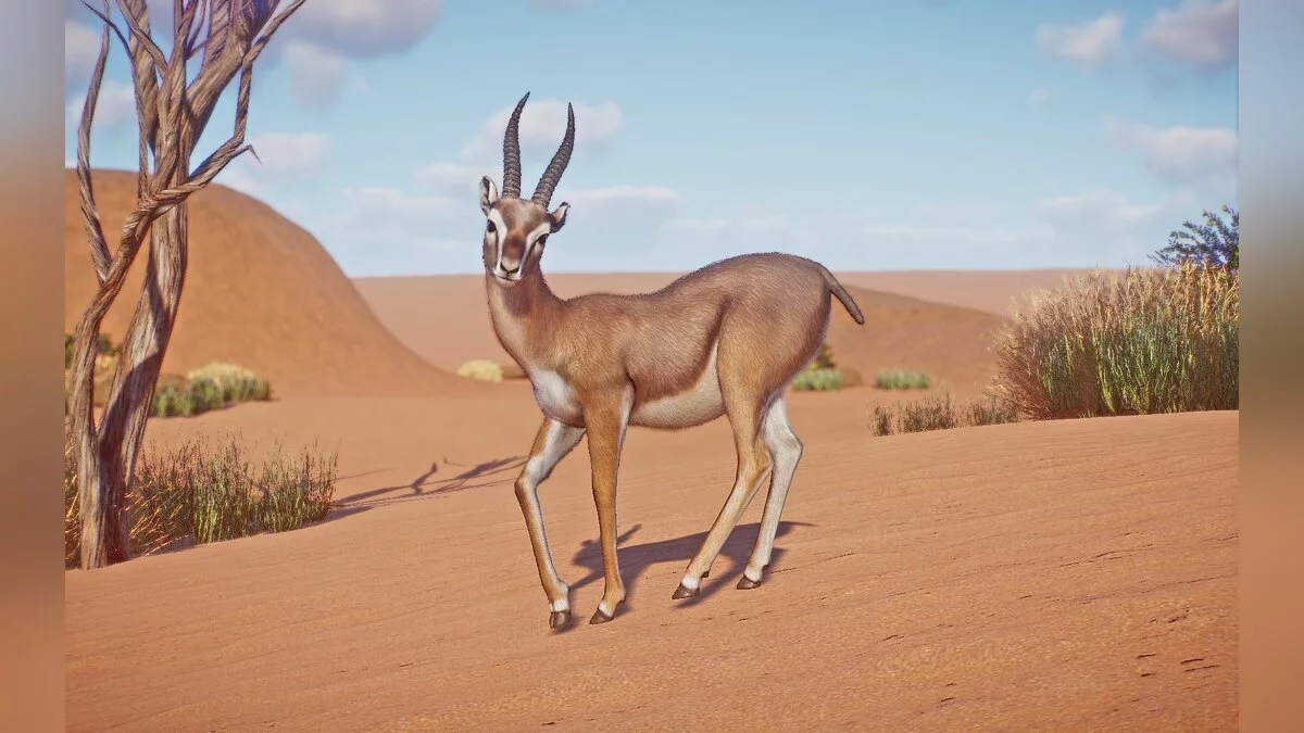 Planet Zoo — Гірська газель - нові види