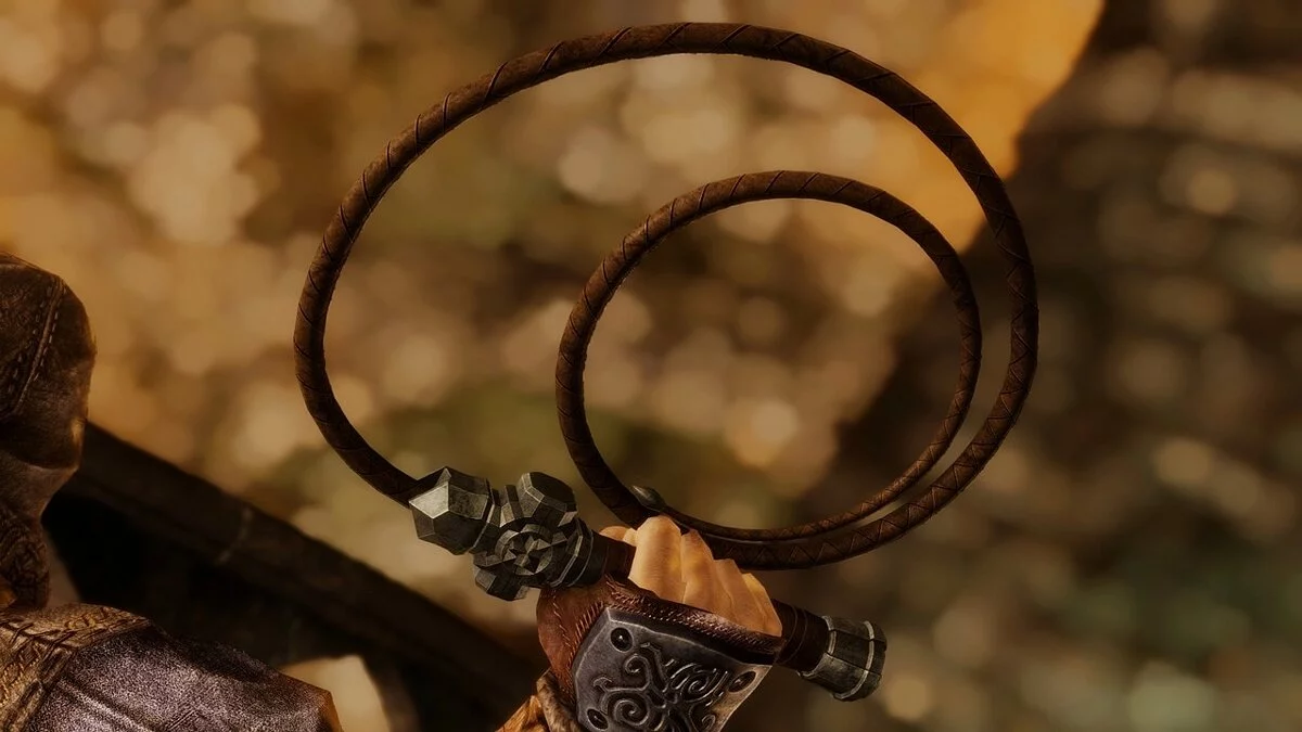 Elder Scrolls 5: Skyrim Special Edition — Хлыст з гри Castlevania