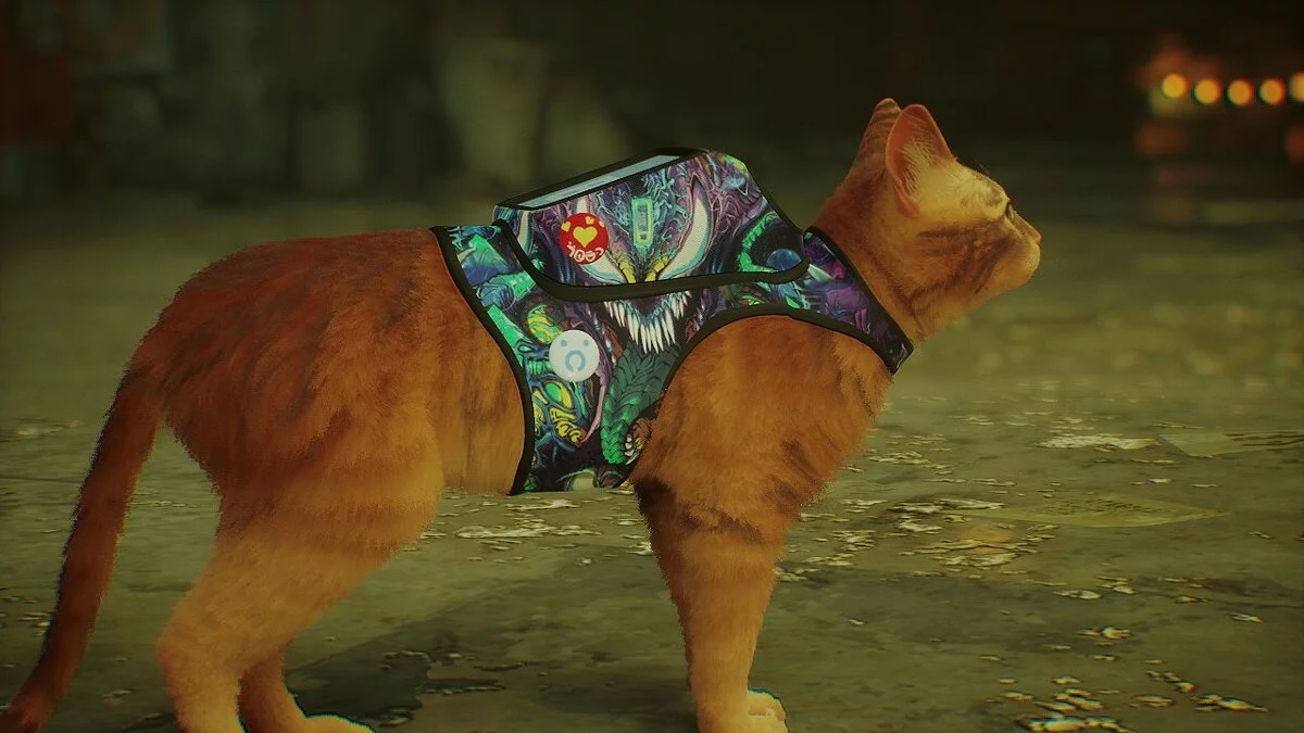 Stray — Скин рюкзака - Hypebeast 1