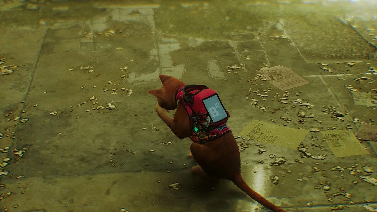 Stray — Скин рюкзака - Hypebeast 2