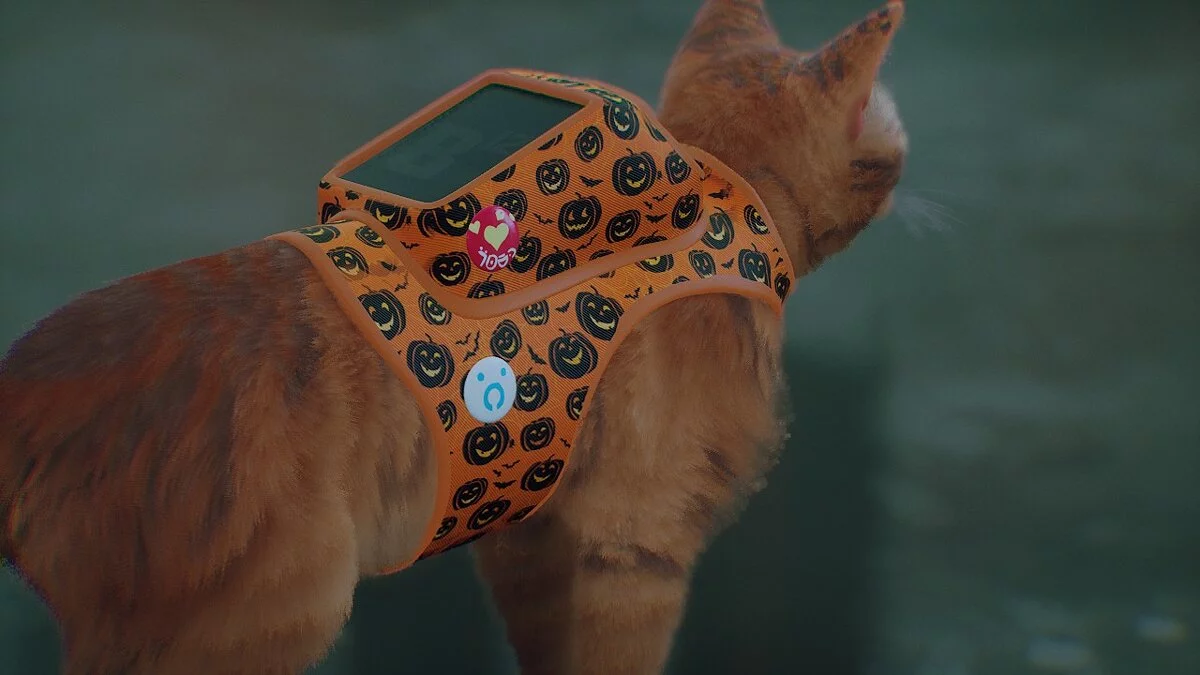 Stray — Образ рюкзака - Хелловінські гарбузи