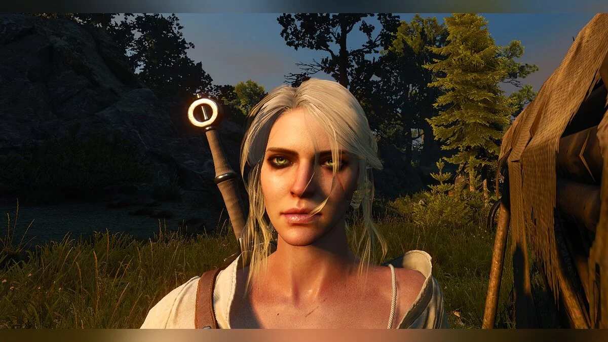 The Witcher 3: Wild Hunt - Complete Edition — Ciri remake