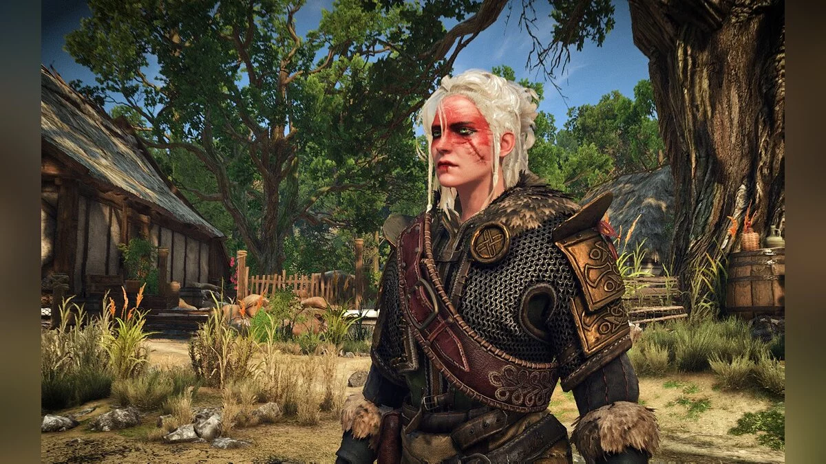 The Witcher 3: Wild Hunt - Complete Edition — Ciri - style to Skelly