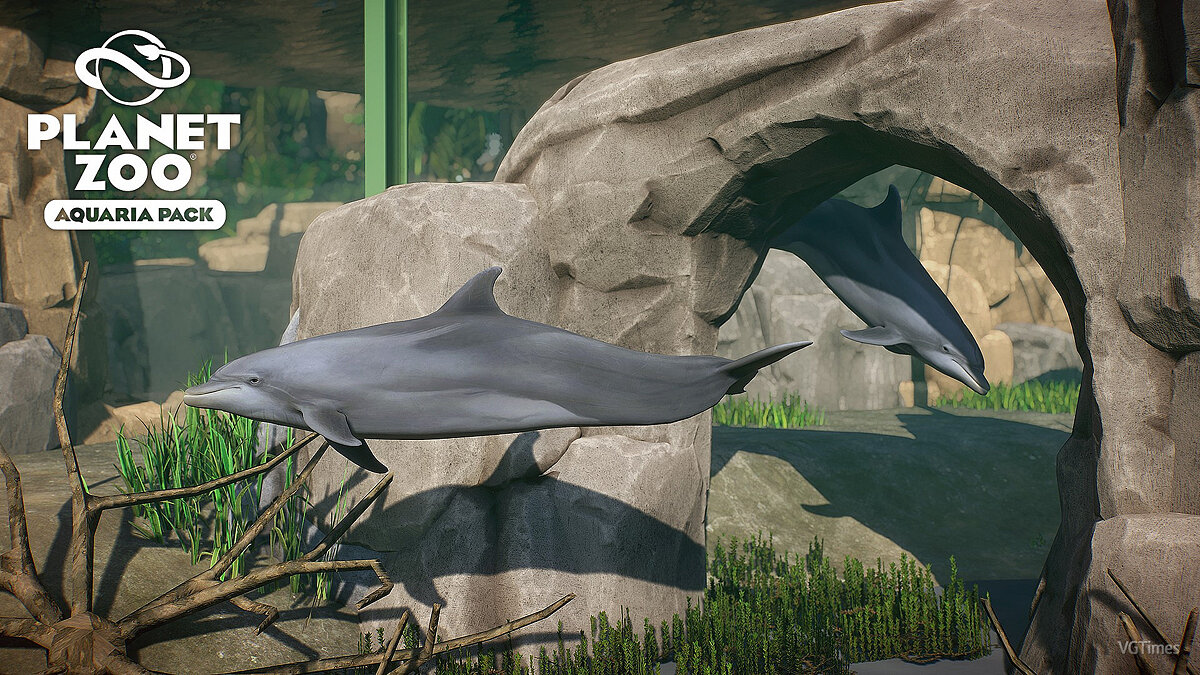 Planet Zoo — Bottlenose dolphin - new species in the aquarium