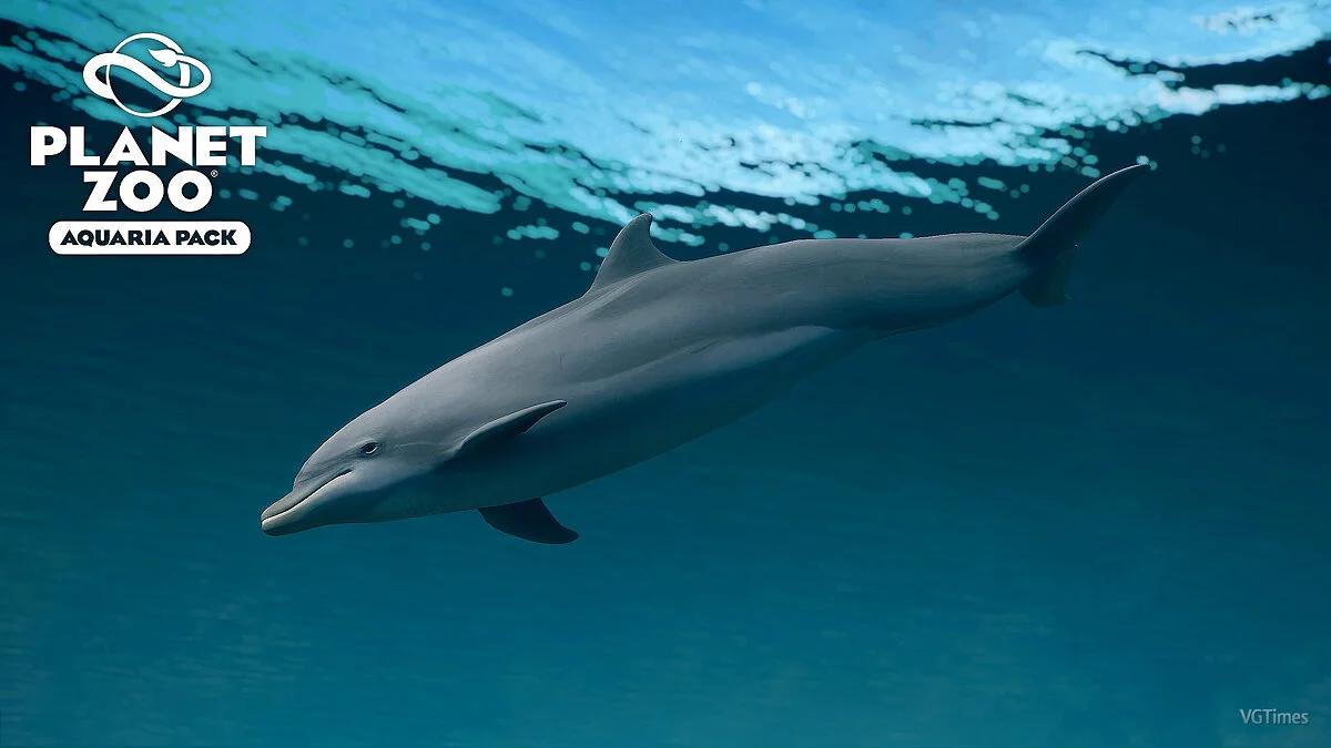 Planet Zoo — Дельфін-афаліна - нові види в акваріумі