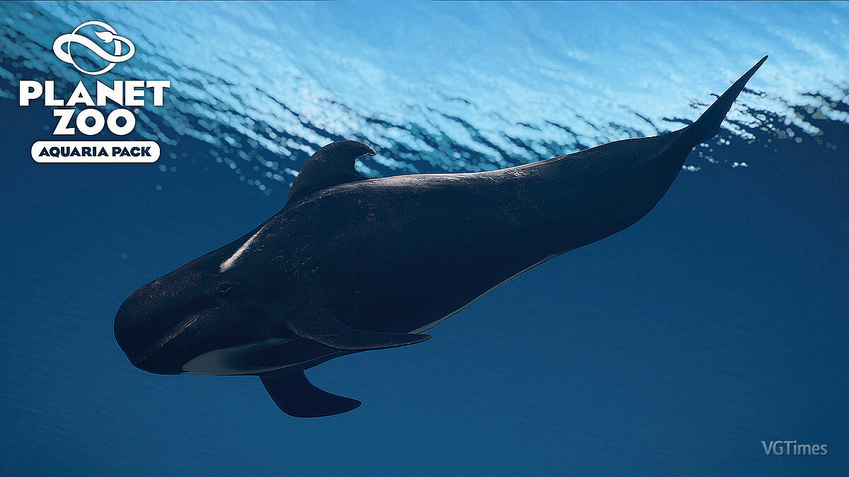 Planet Zoo — Short-fin pilot whale