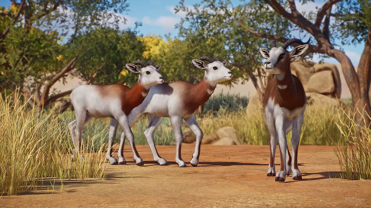 Planet Zoo — Дама газель (Аддра и Морр) - новые виды