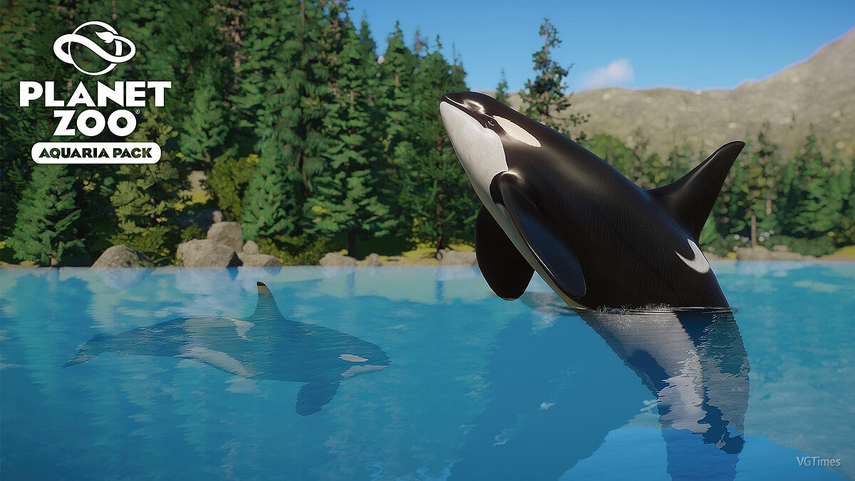 Planet Zoo — Killer whale - new species