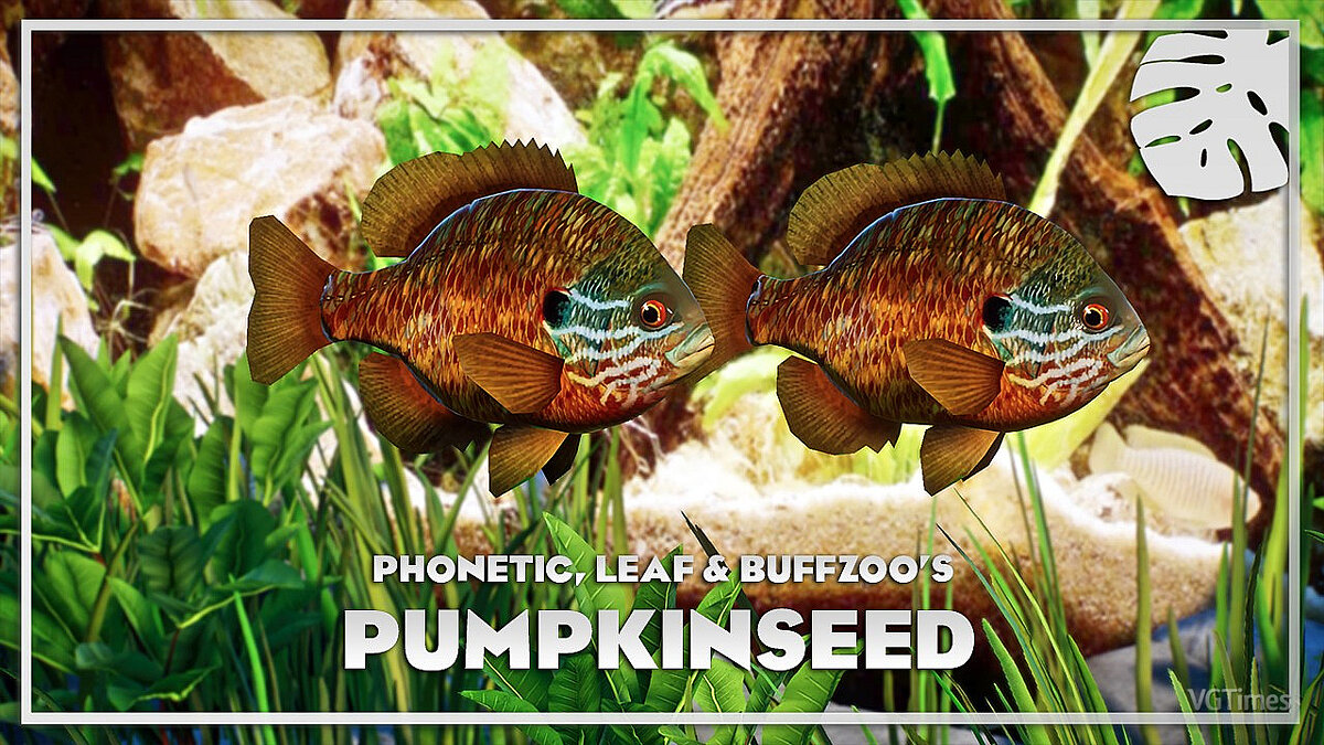 Planet Zoo — Pumpkin seed - new species